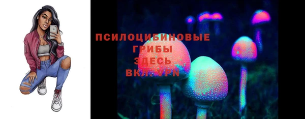spice Алексеевка