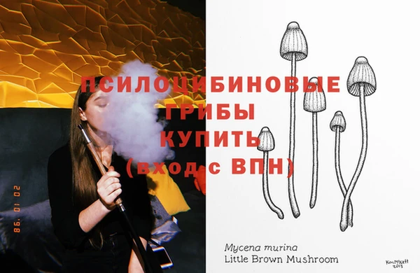 спайс Инта