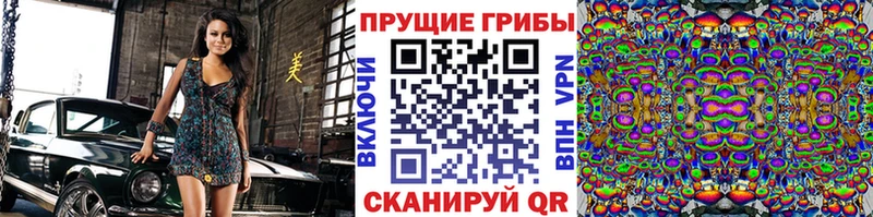 Псилоцибиновые грибы ЛСД  мега ССЫЛКА  Перевоз 